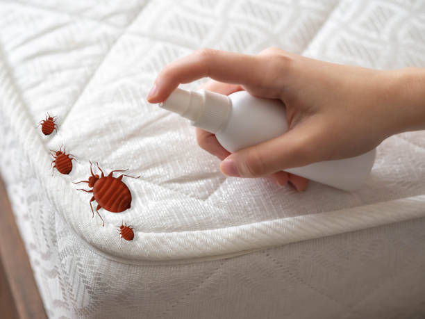 Real Estate Pest Inspections in Grayville, IL